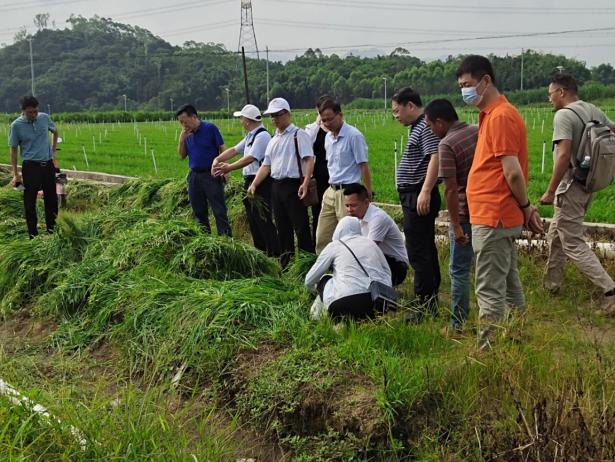 202306191142402490.jpeg 202306191142402490.jpeg