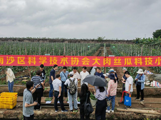 广州市南沙区科协扎实推动科技小院建设“开花结果”